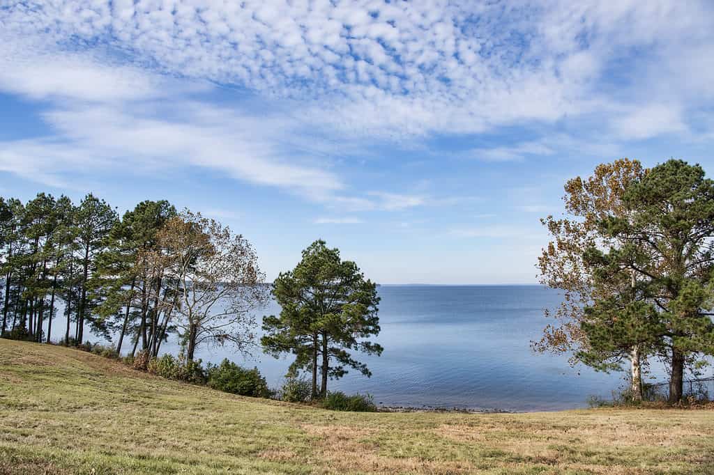 Toledo Bend Reservoir is one of the largest reservoirs in the US