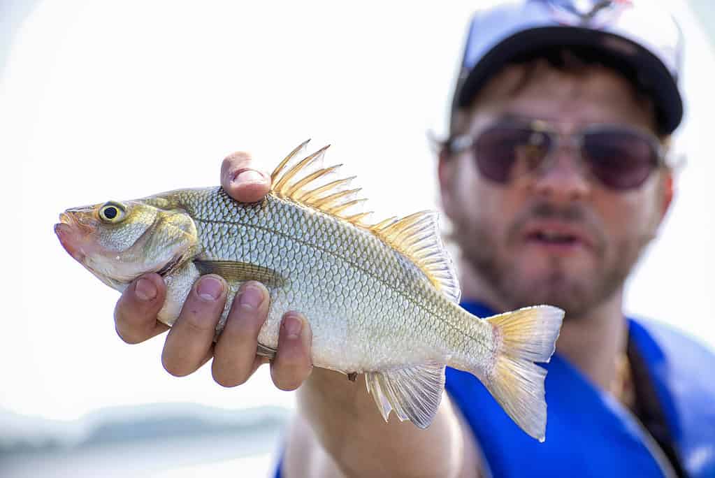 Man h holding a freshwater drum