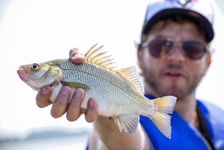 Man holding a freshwater drum