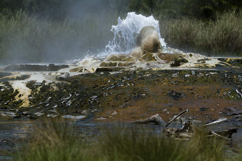 Hot Springs in Semuliki National Park, Uganda