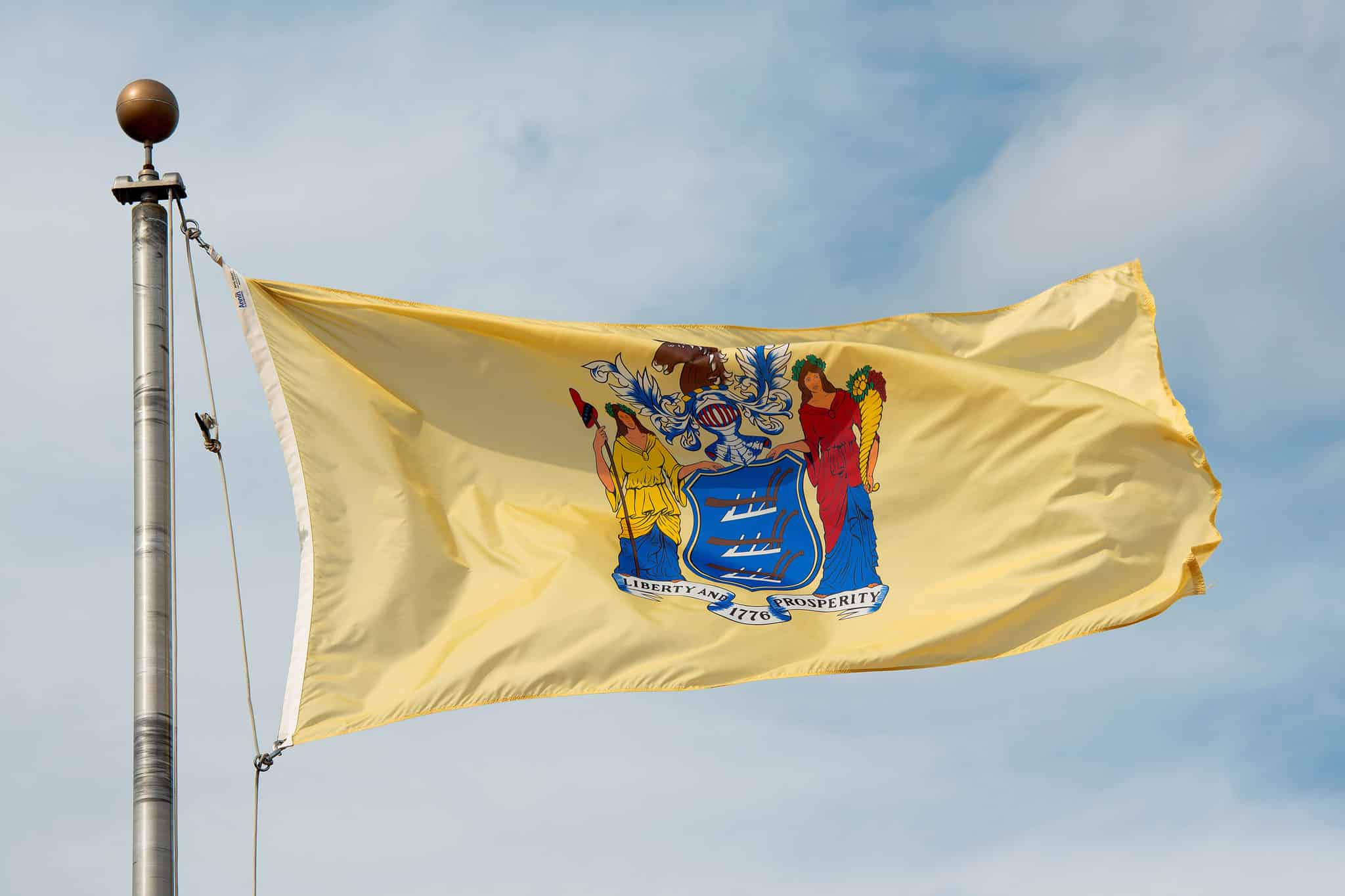 The Flag of New Jersey: History, Meaning, and Symbolism - A-Z Animals