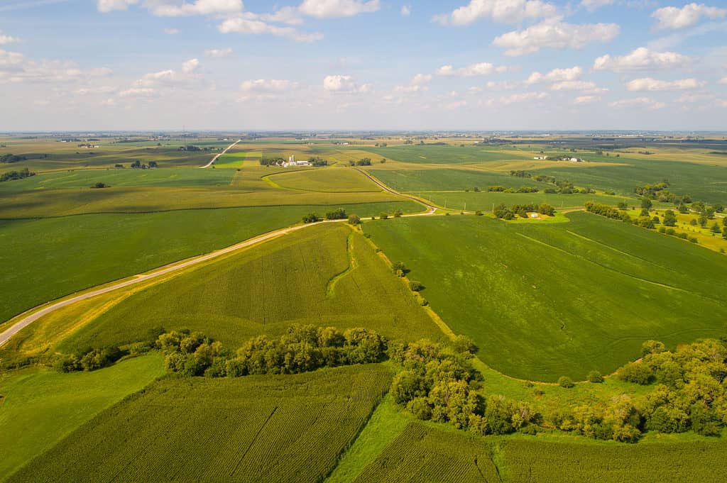 The rich soil in Massachusetts is ideal for growing crops such as corn, soybeans and wheat.