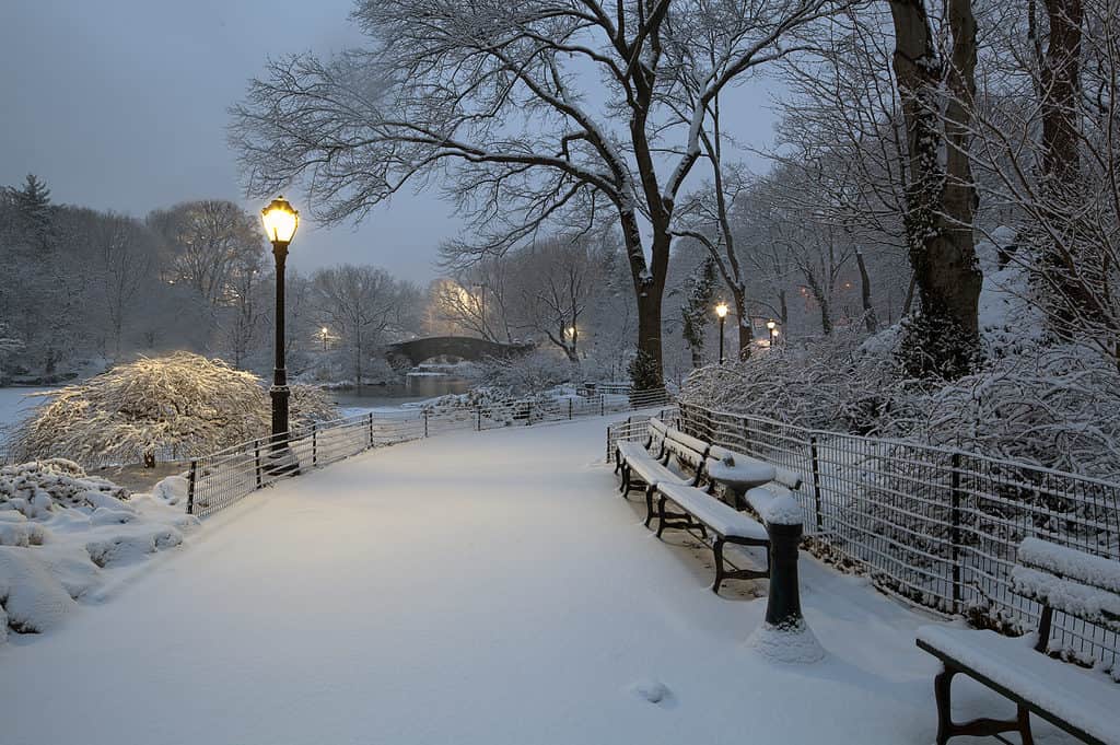 Central Park, New York City with snow