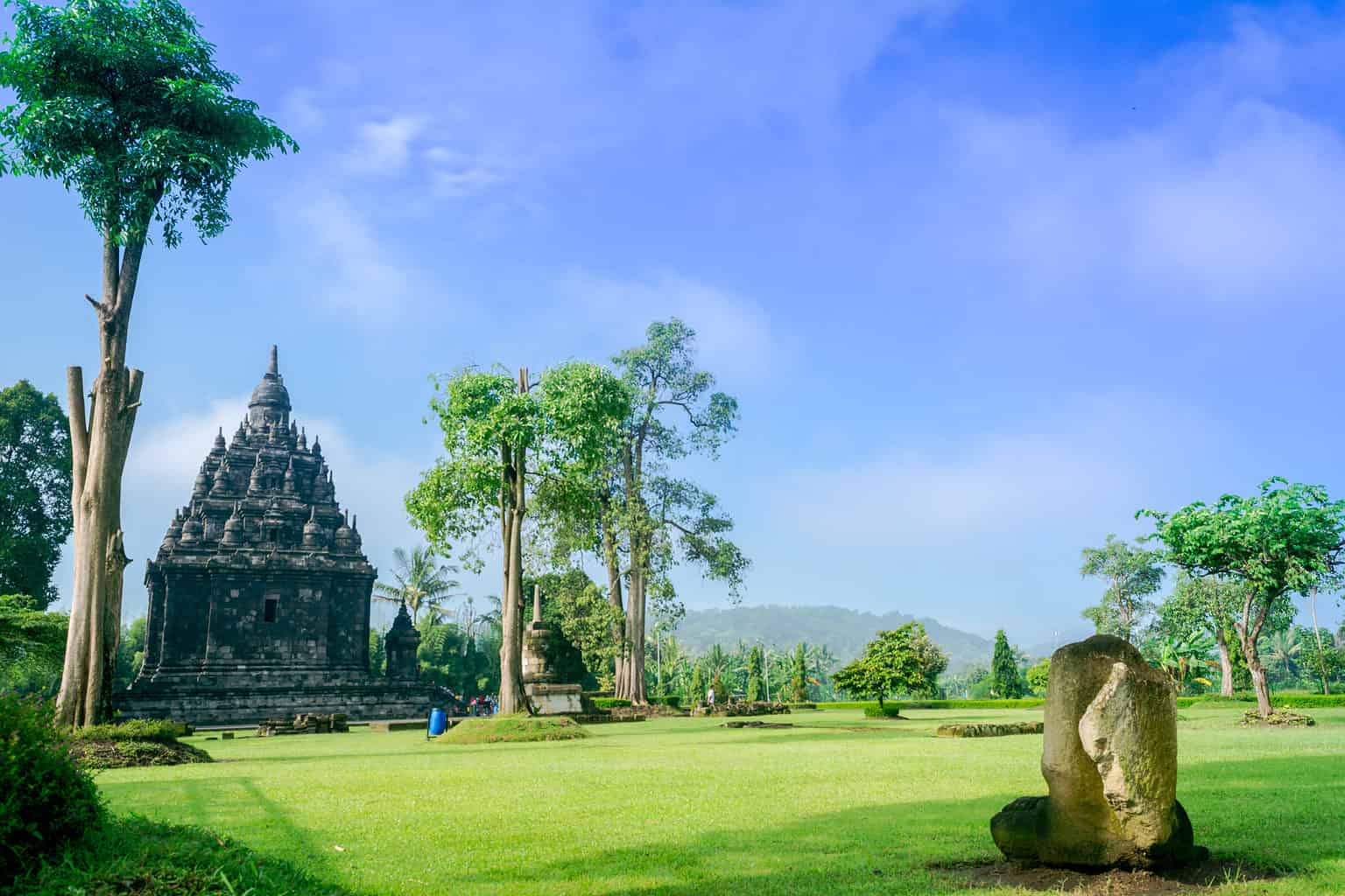 The Largest and Strongest Tiger Species of All Time Was a True Monster