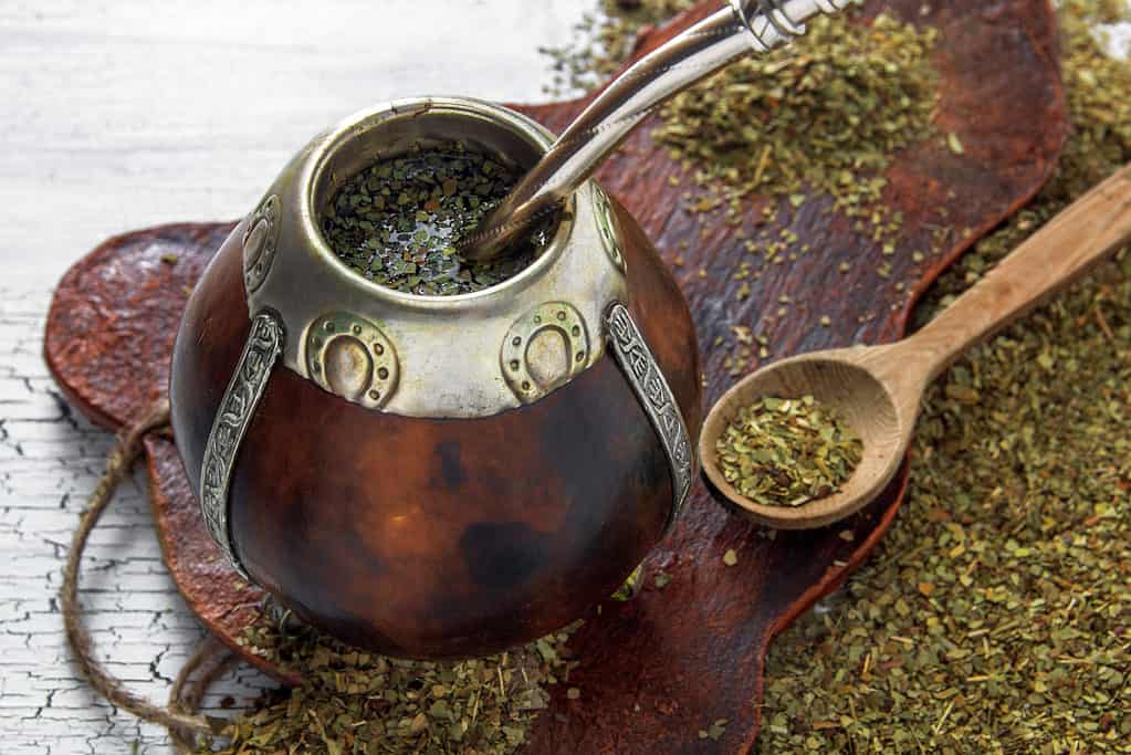 Dried yerba mate plant for tea
