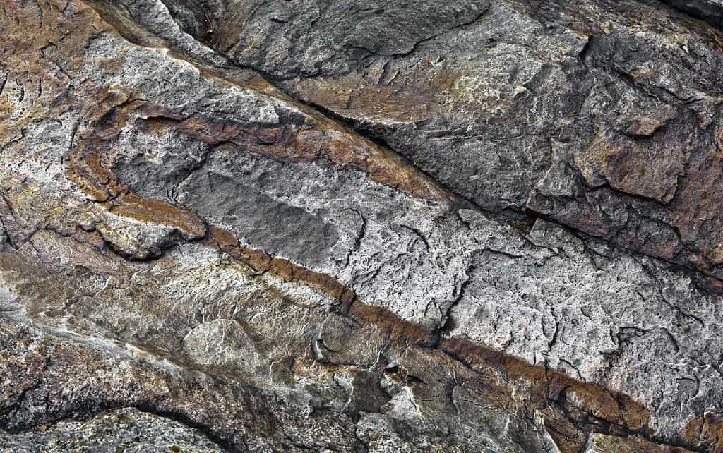 New Hampshire sits on granite which cannot preserve fossils