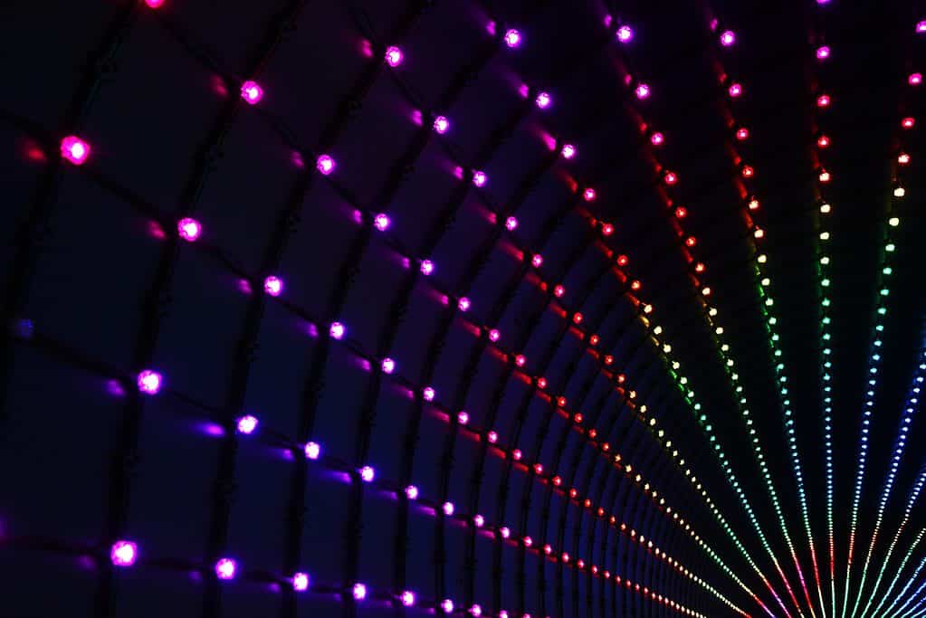 full-spectrum LED lights (grow lights)