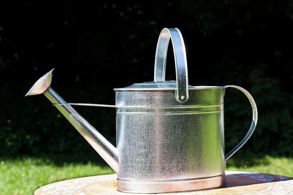 galvanized watering can