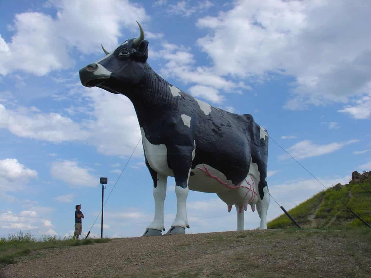 Salem Sue cow statue