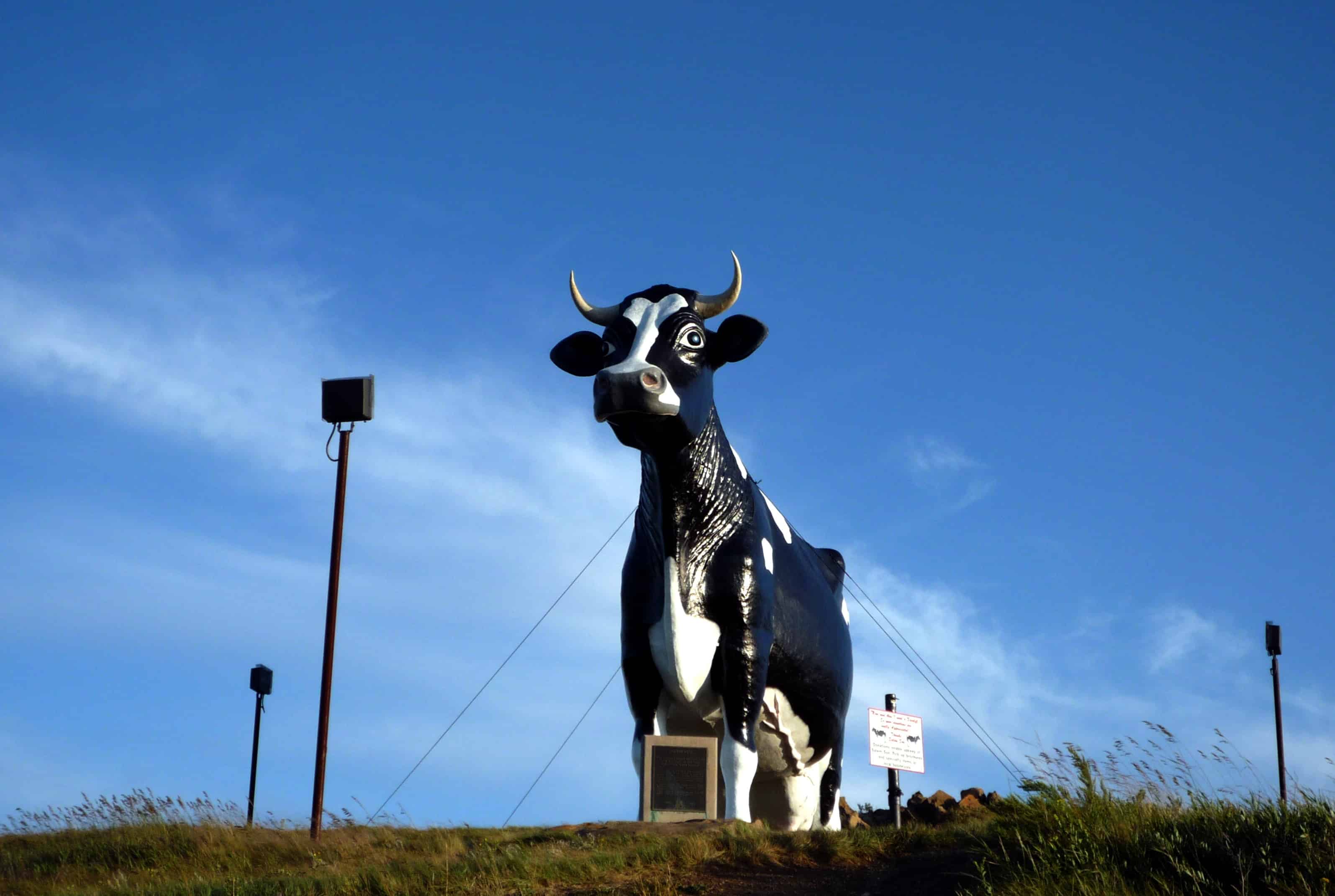 The World's Largest Cow Statue Is a Sight to Behold AZ Animals