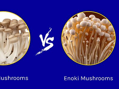 A Beech Mushrooms vs. Enoki Mushrooms