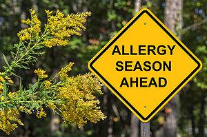 Georgia Allergy Season: Peak, Timing, and Symptoms Picture