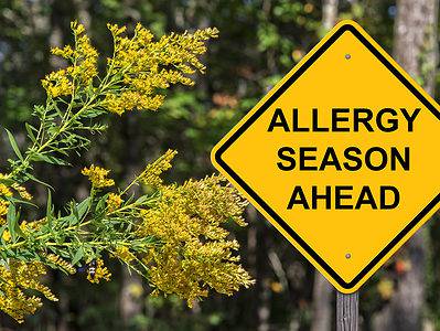 A Georgia Allergy Season: Peak, Timing, and Symptoms