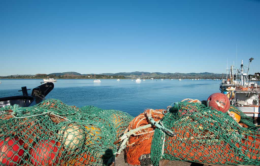 Fishing off the coast of New Zealand