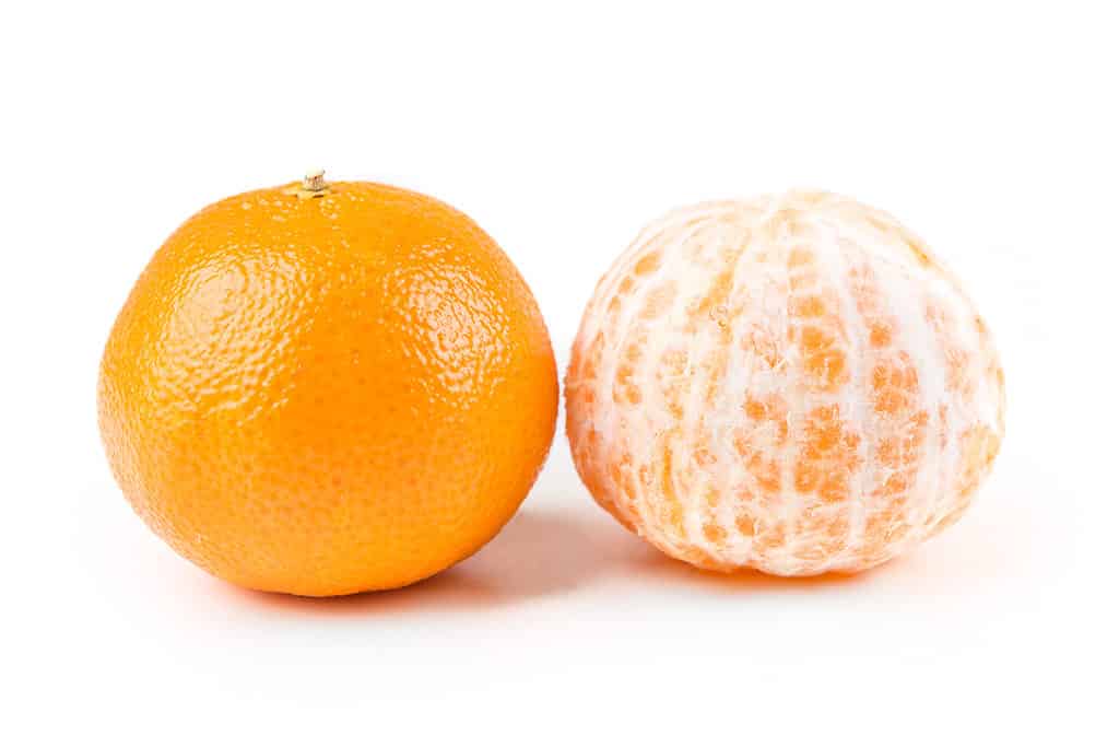 are mandarin oranges safe for dogs