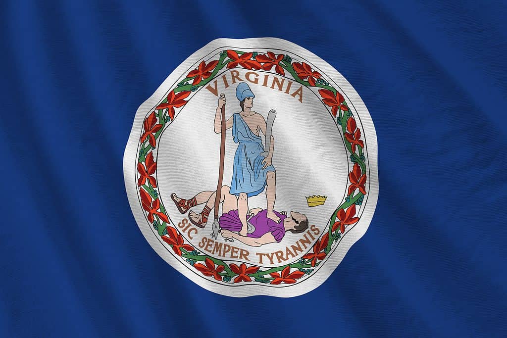 Virginia US state flag