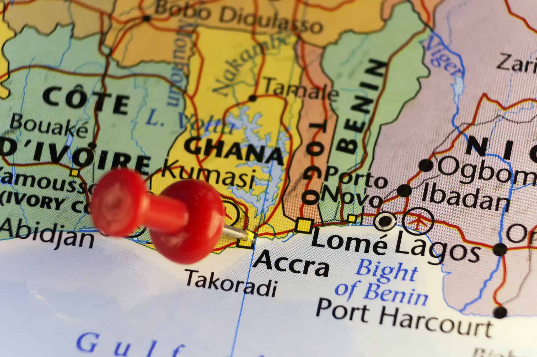 Discover The National Flower of Ghana Impala Lily AZ Animals