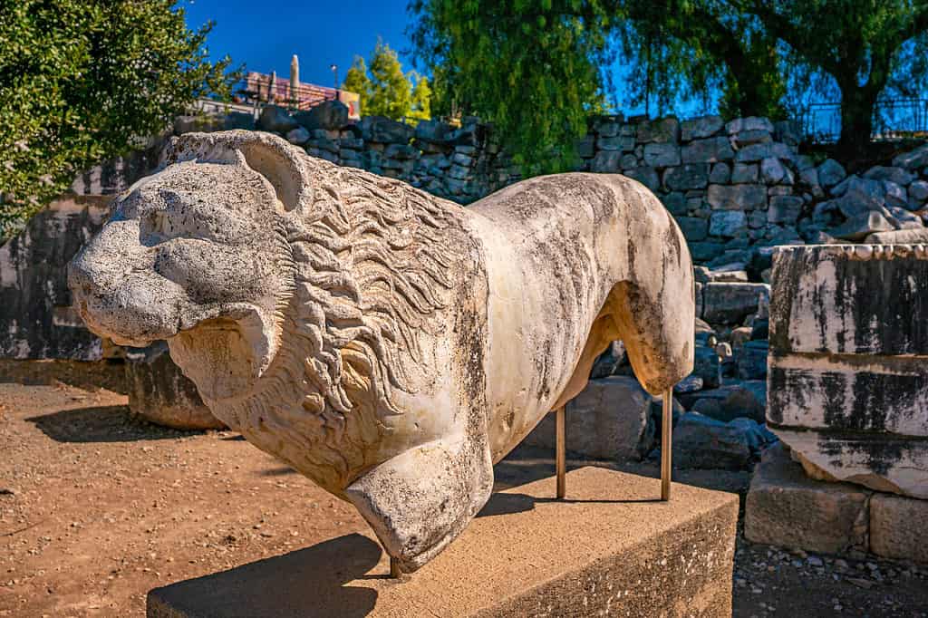 Lion figure of Didyma, ruins an ancient Greek sanctuary