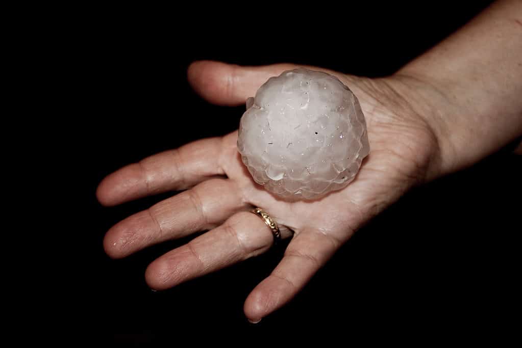 golf ball sized hailstone