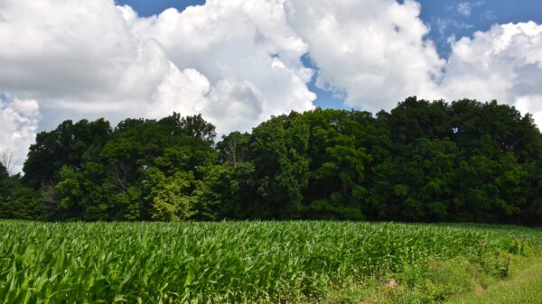 Discover Why Indiana Is Called The Hoosier State - A-Z Animals