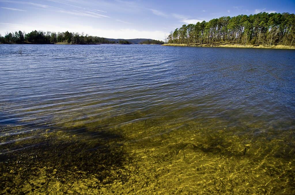 Lake in Ouachita National Forest