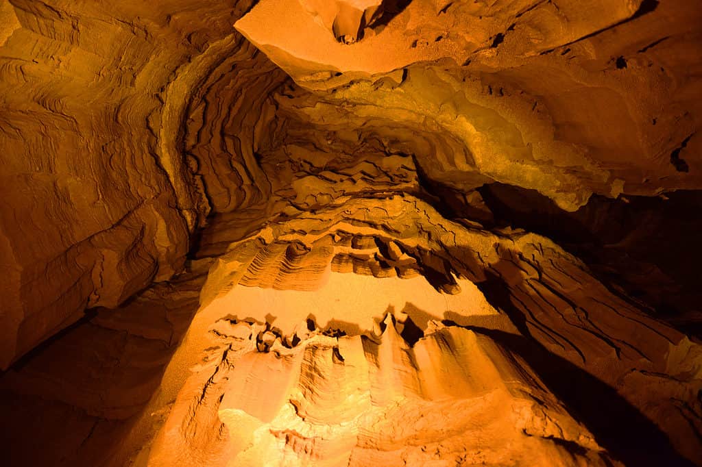 Mammoth Cave National Park