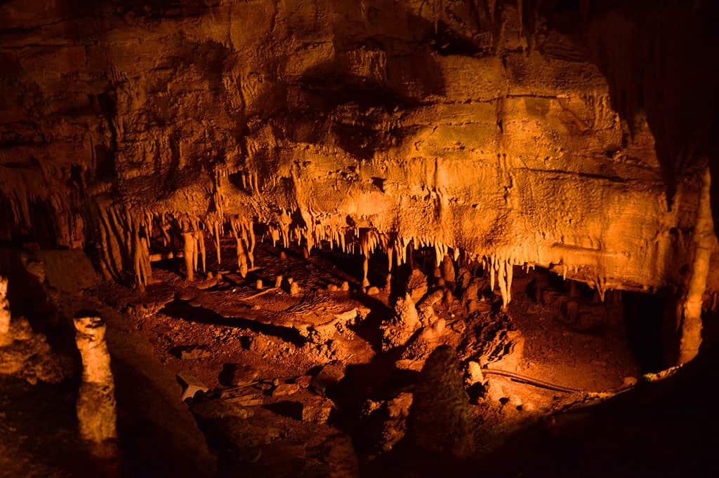 Mammoth Cave National Park