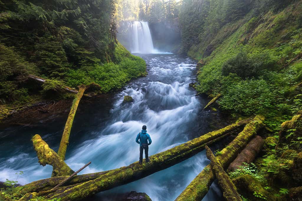 McKenzie River