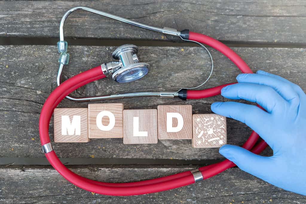 Mold Allergy