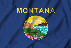 Discover the Montana State Seal: History, Symbolism, and Meaning Picture