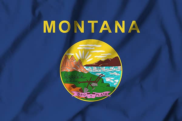 Like many US state flags, the flag of Montana consists of the state seal on a dark blue field. The name of the state is featured in bold letters above the state seal, although this was not added until 1981 to allow the flag to be distinguished from other similar looking state flags.