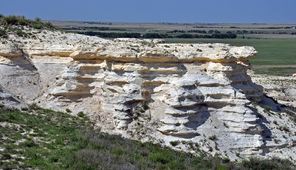 Chalk in the Cretaceous of Kansas, USA.