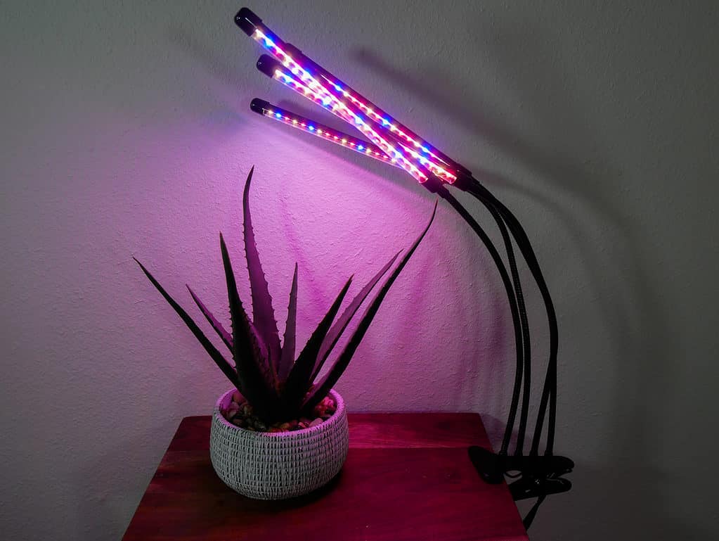 Is this Sansi 36watt Full Spectrum LED grow light enough for all these  plants, or should I have another light somewhere else? : r/houseplants