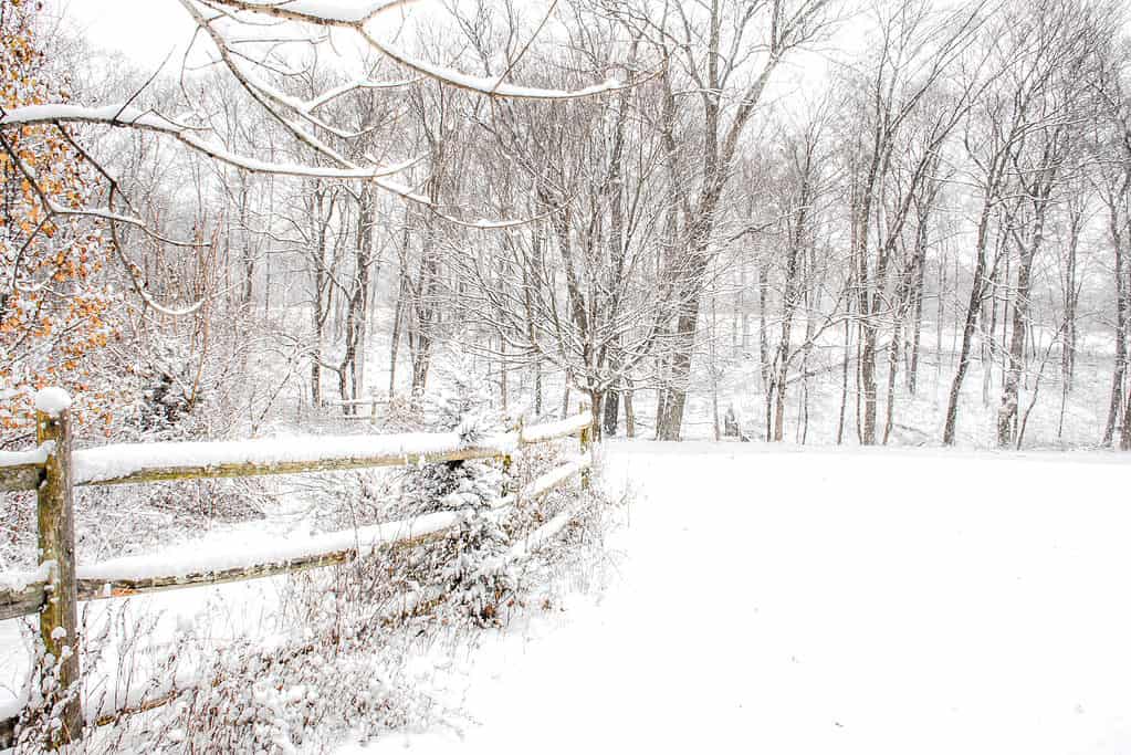 Pennsylvania Winter