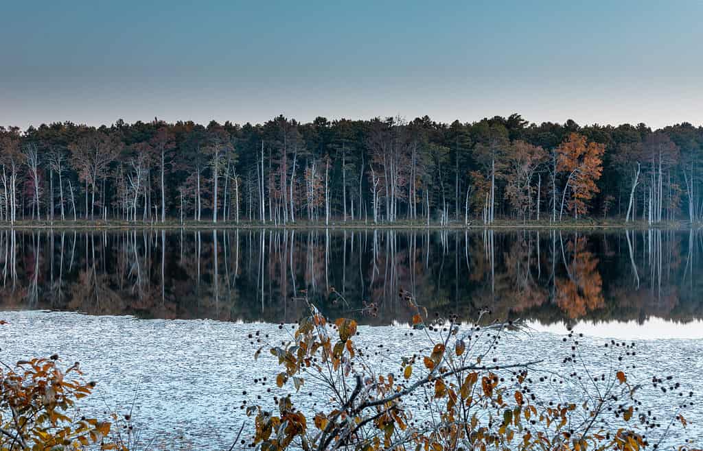 Pinewoods Lake in Mark Twain National Forest