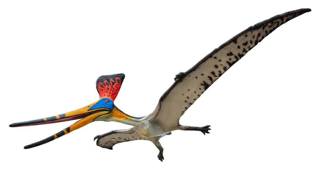 Deinocheirus Animal Facts  Deinocheirus mirificus - A-Z Animals