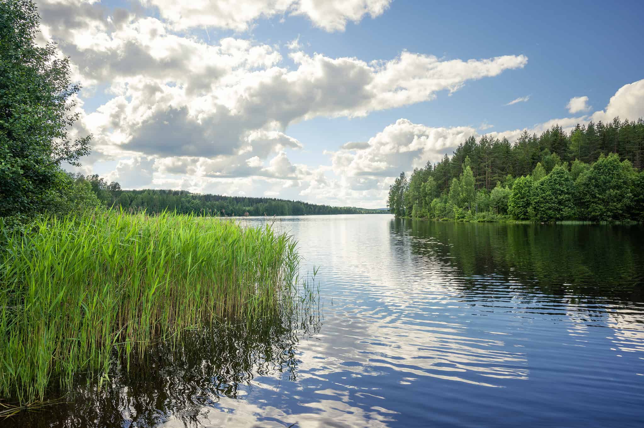 Озеро Глубля Беларусь. Нарочанский парк Беларусь. Озеро Городецкое Лужский район. Озеро чёрное Ленинградская область Лужский район.