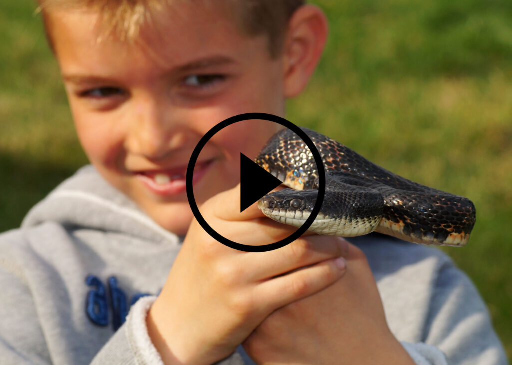 Smiling child holding a snake