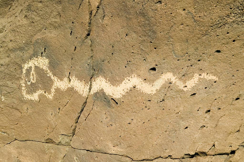 Snake Petroglyph