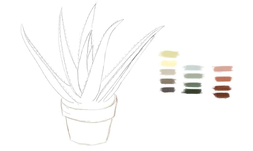 Watercolor outline of a succulent in a pot