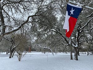 Does It Snow in Texas? Picture