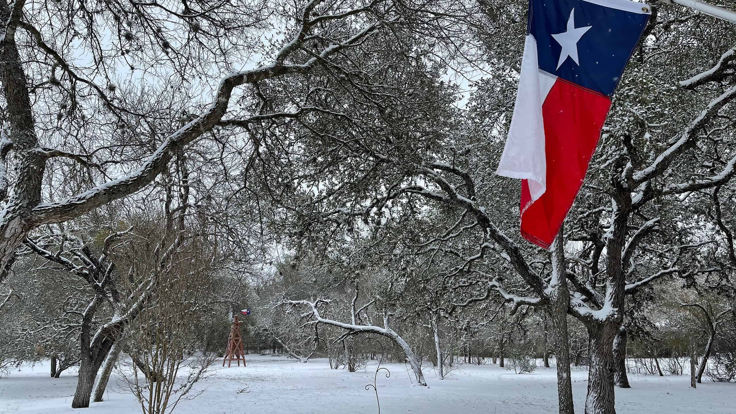 Texas Winter