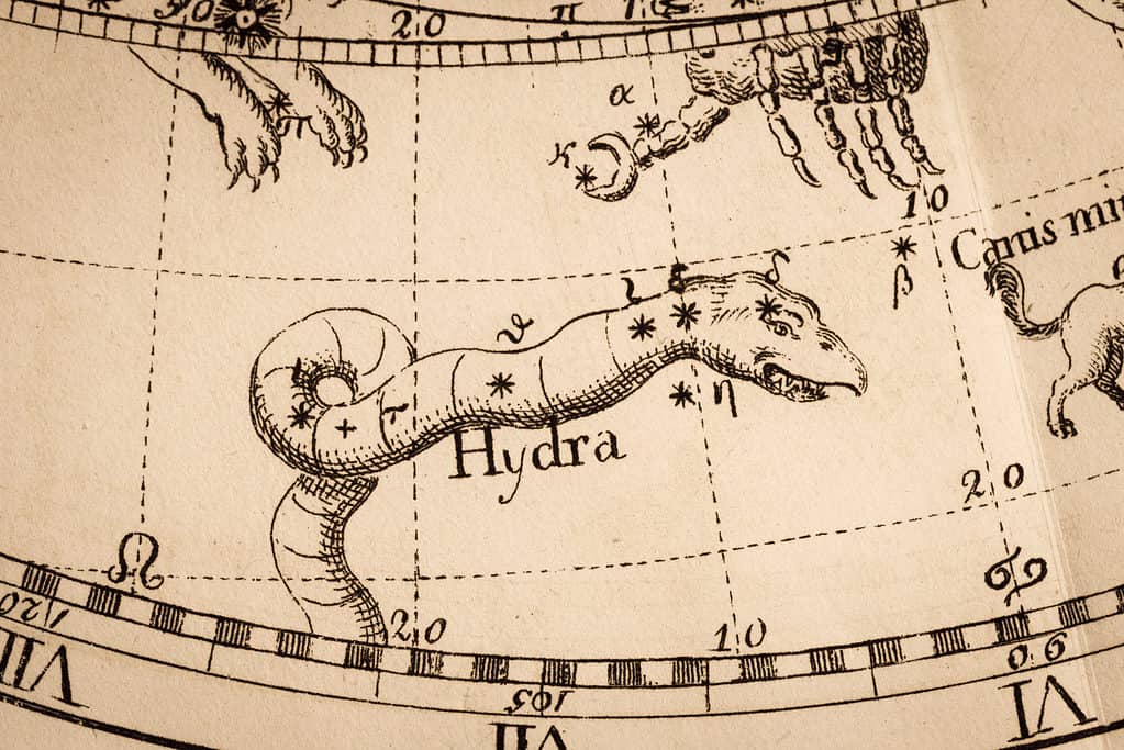 Antique depiction of hydra, the constellation
