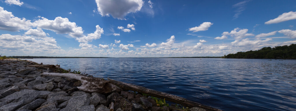 Rodman Reservoir features some of Florida's best bass fishing.