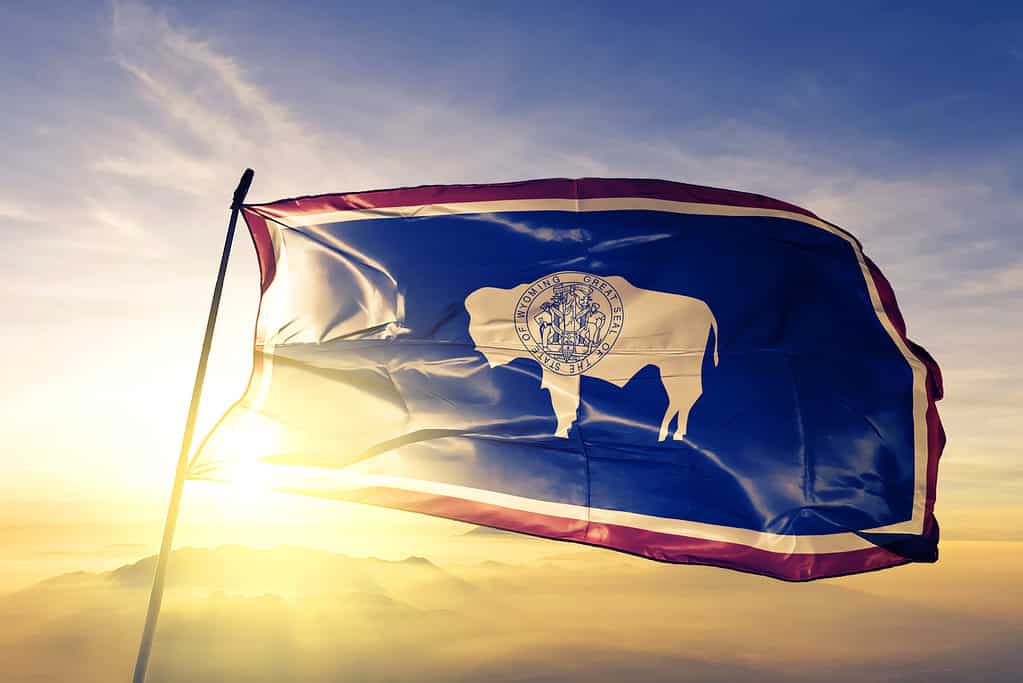 The flag of Wyoming with the sun behind it