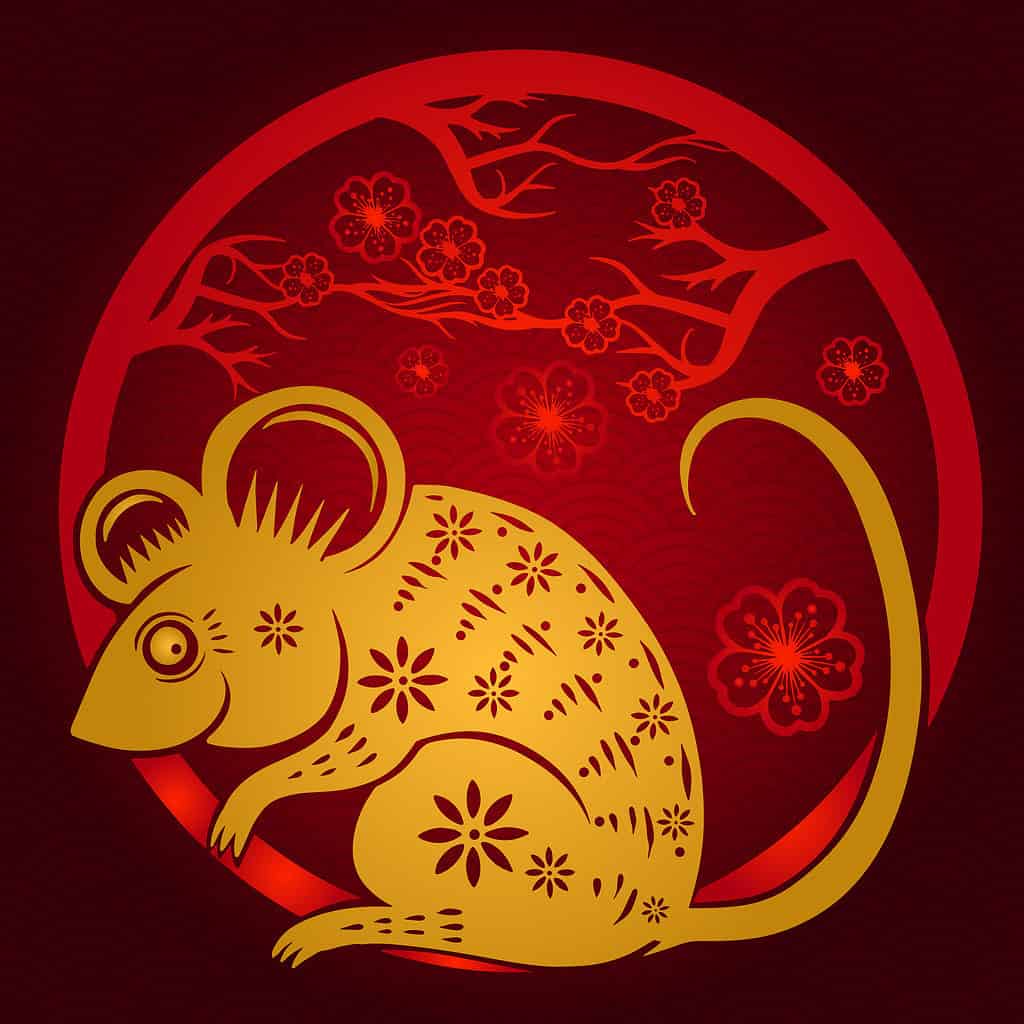 Chinese Zodiac rat symbol