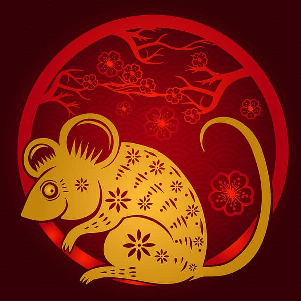 Year of the Rat Chinese Zodiac Meaning and Years AZ Animals