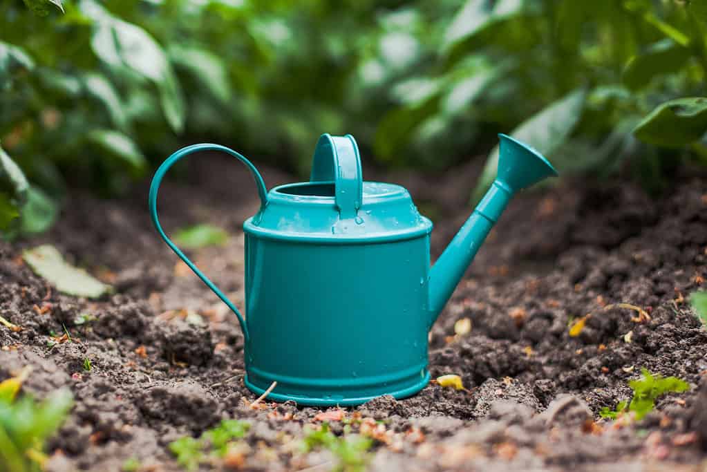 watering can on ground