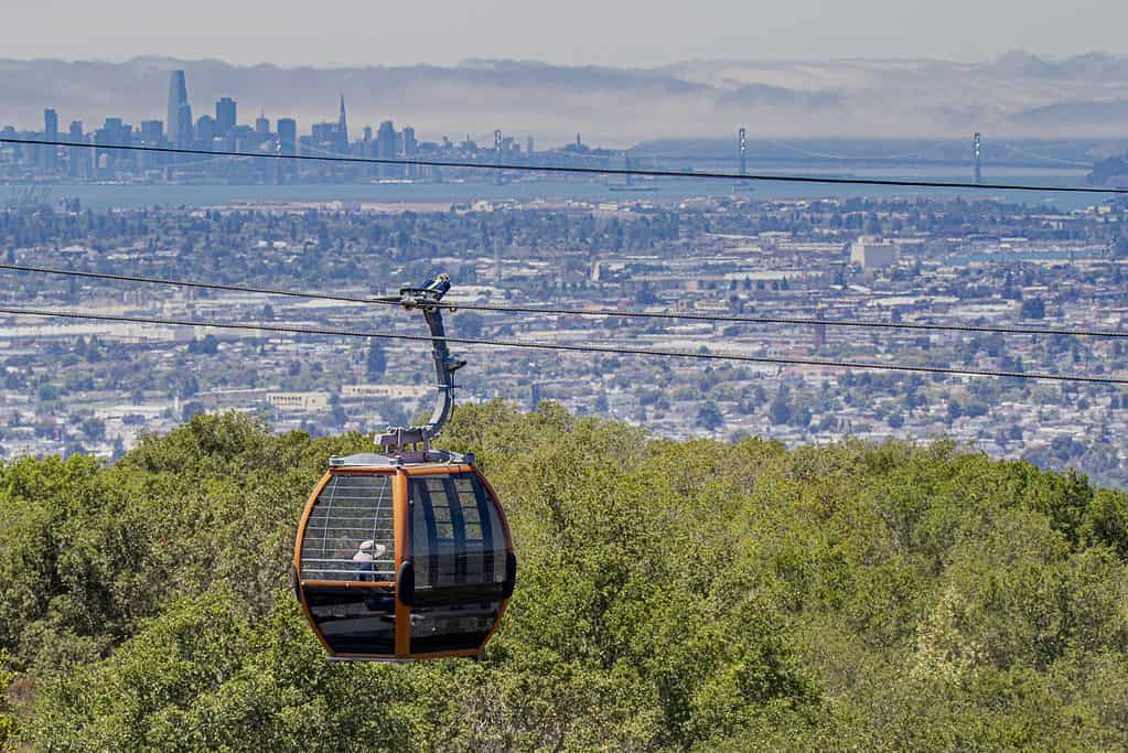 Oakland Zoo Gondola