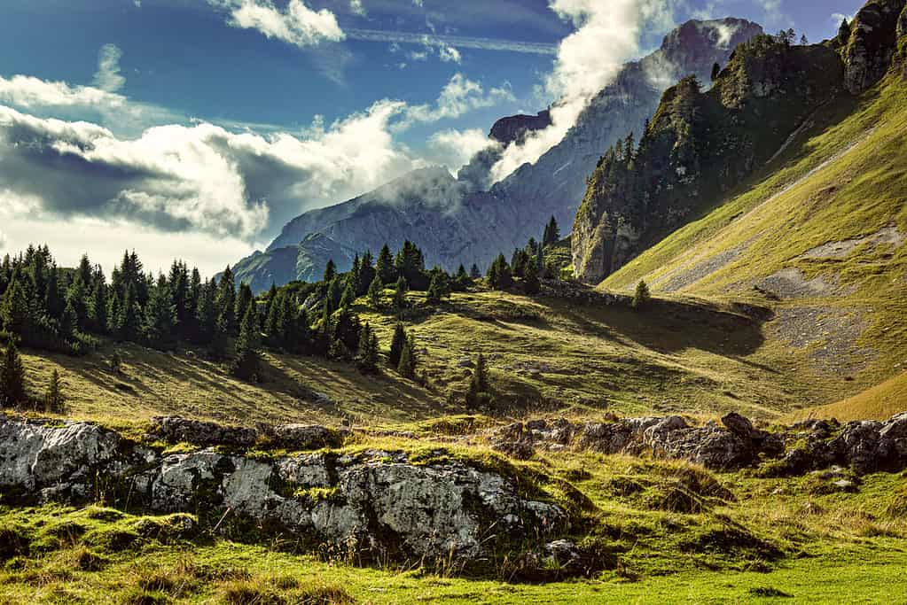 Dolomiti Bellunesi National Park